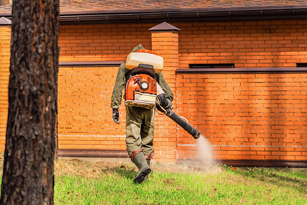 Trusted Termite Control service in Fobes Hill, WA - Nex Pest Control